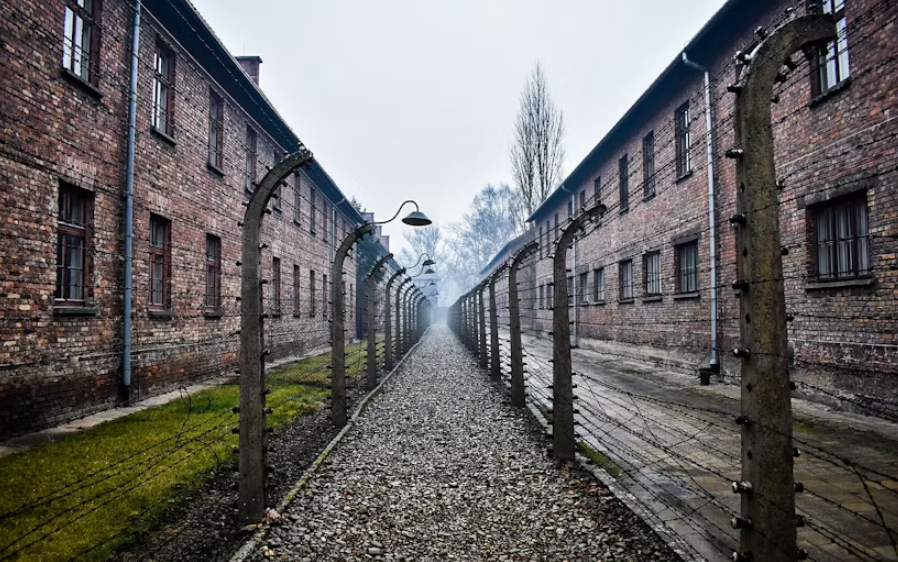 Auschwitz Shuttle - Image 3